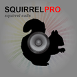 Icono de programa: Squirrel Call-Squirrel Hu…