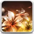 Icon of program: Glowing Flowers Live Wall…
