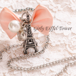 Icono de programa: Cute Theme-Girly Eiffel T…