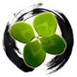 Icon of program: Zen Of Clover