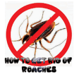 Icon of program: HOW TO GET RID OF ROACHES