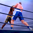 Icon of program: Ultimate Boxing