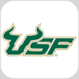 Icon of program: USF Experience