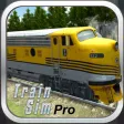 Icon of program: Train Sim Pro