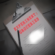 Icon of program: EXPERIMENT: GROCERIES