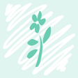 Icon of program: myRINGANA