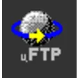 Icon of program: MicroFTP 2000