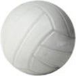 Icon of program: Volleyball