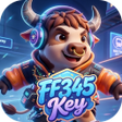 Icono de programa: FF345Key