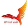 Icon of program: Get Your Wings Pilot Trai…
