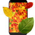 Icono de programa: Autumn leaves 3D LWP