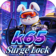 Icon of program: k65 SurgeLock