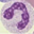 Icono de programa: WBC Differential Counter