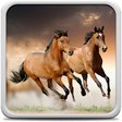 Icon of program: Horses Live Wallpaper