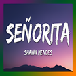 Icono de programa: Song Senorita Mp3 Offline