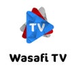 Icon of program: Wasafi TV | Video & Music