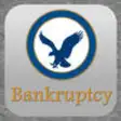 Icon of program: 2015 Bankruptcy United St…
