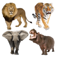 Icono de programa: Animal Sounds for Kids fr…
