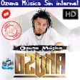 Icon of program: Ozuna de Msica Sin intern…