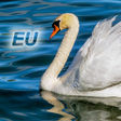 Icon of program: Nature Free - Europe