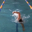 Icon of program: Swim Coach Plus