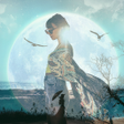 Icon of program: Picture Blender & Photo M…