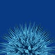 Icon of program: Antivirals14