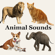 Icon of program: Animal Sounds 3D