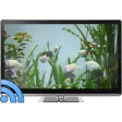 Icon of program: Fish Tank on TV via Chrom…