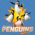 Icon of program: Penguins of Mad Emoji