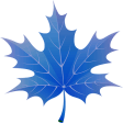 Icon of program: 3D Autumn Maple Leaves Fr…