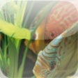Icon of program: EHEIM Aquarium Setup Guid…