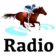 Icon of program: avLive - Horse Racing Rad…