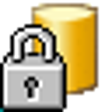 Icono de programa: MSSQL.DataMask
