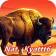 Icono de programa: Nat Kyattt6