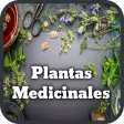 Icon of program: Medicinal Plants and Natu…