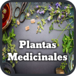 Icon of program: Medicinal Plants and Natu…