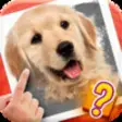 Icon of program: Scratch Quiz - Can You Fi…