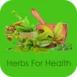 Icon of program: Herbs For Health