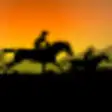 Icon of program: Cowboy Ride Screensaver