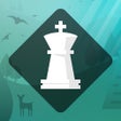 Magnus Trainer - Learn & Train Chess icon