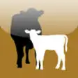Icon of program: Cow-Calf Today