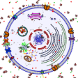 Icon of program: Animal Cell for High Scho…
