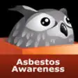 Icon of program: Asbestos Awareness