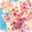 Icon of program: icon & wallpaper-Sakura S…