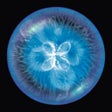 Icon of program: Osmos