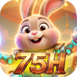 Icon of program: 75HTap