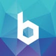 Icon of program: BaseStone - snag, inspect…