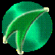 Icon of program: Protector Plus 2015