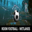 Icon of program: ROOM FOOTBALL - Wetlands
